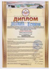 Седойкина Алина - Дипломант II степени